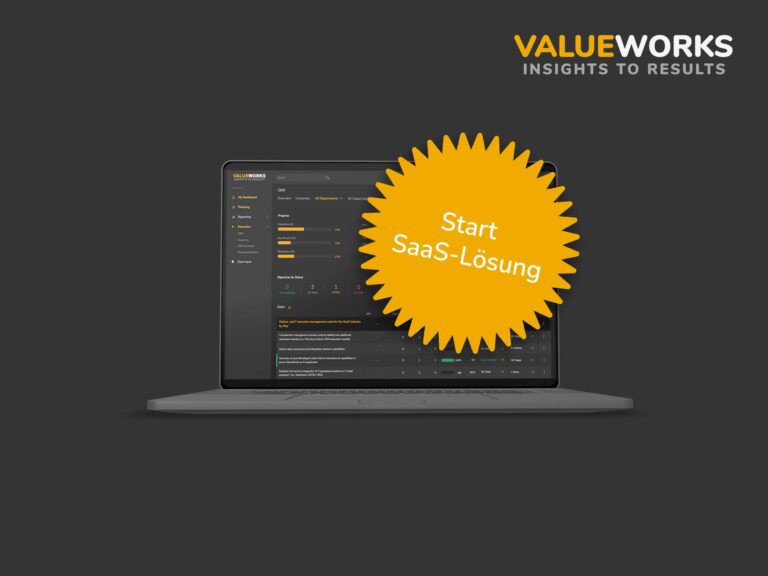 ValueWorks führt vertikale Lösung für die Unternehmenssoftware SaaS ein