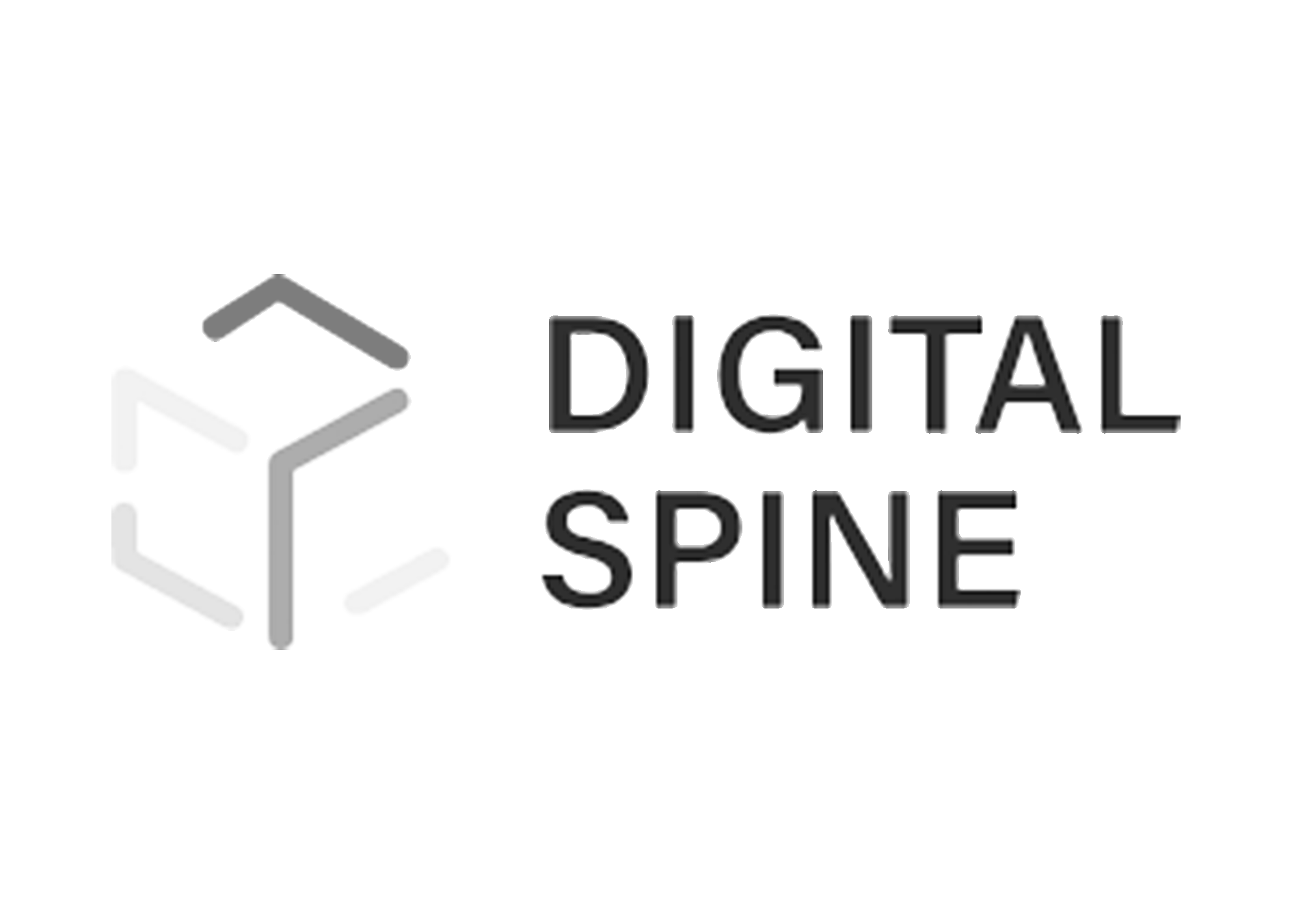 Digital Spine Logo